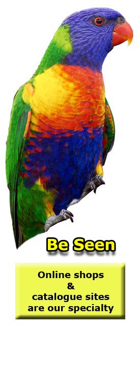 web design and search optimisation in hervey bay